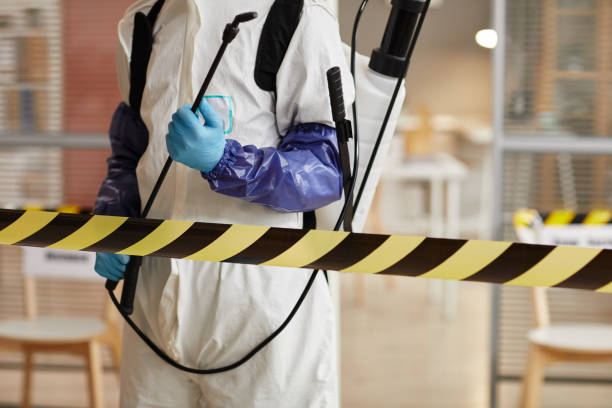 Professional Sewage Cleanup technician working in Oark, AR